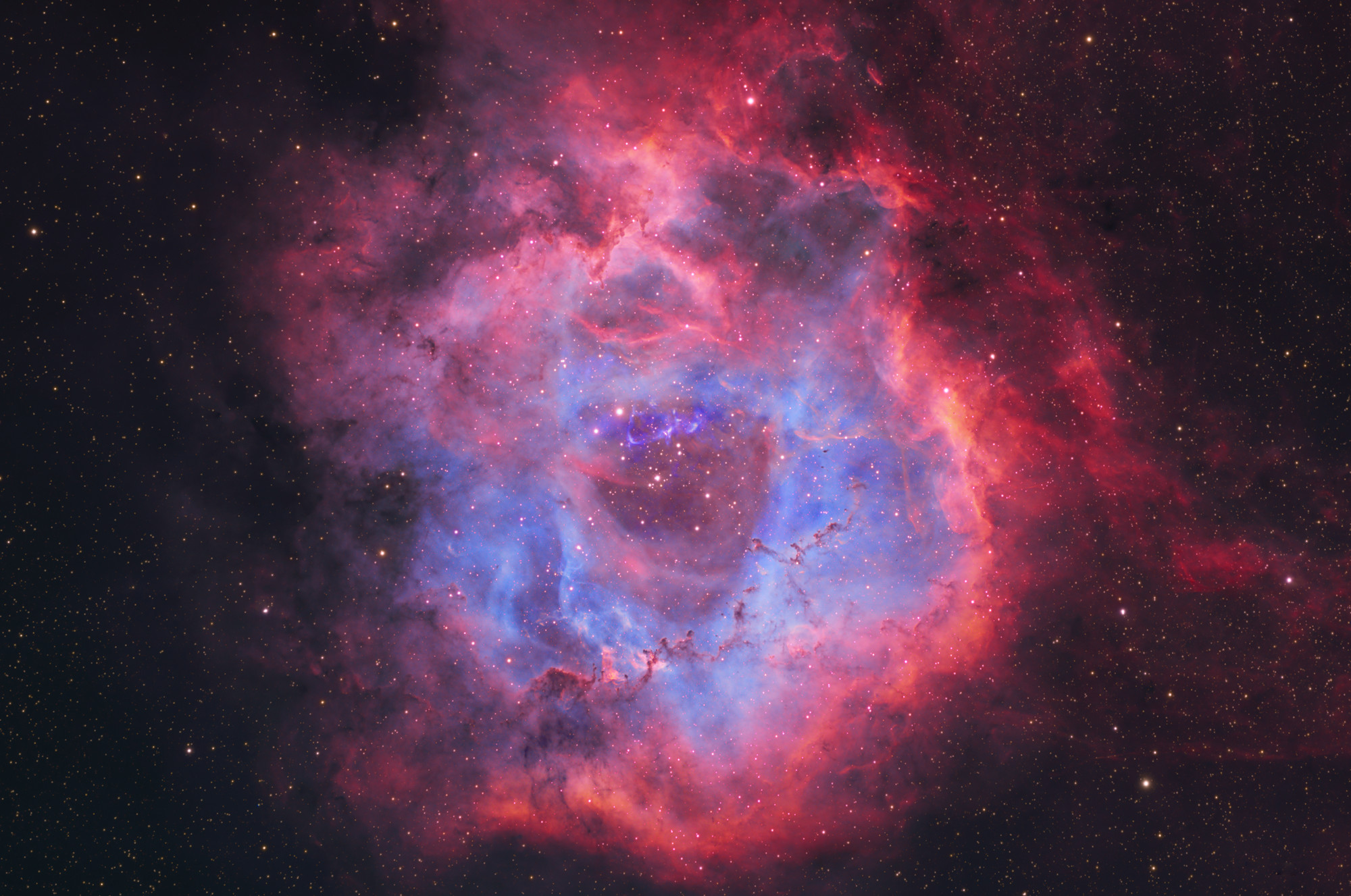 1667368634250079052.jpg 黄权-来自宇宙的浪漫(长边2000像素).jpg