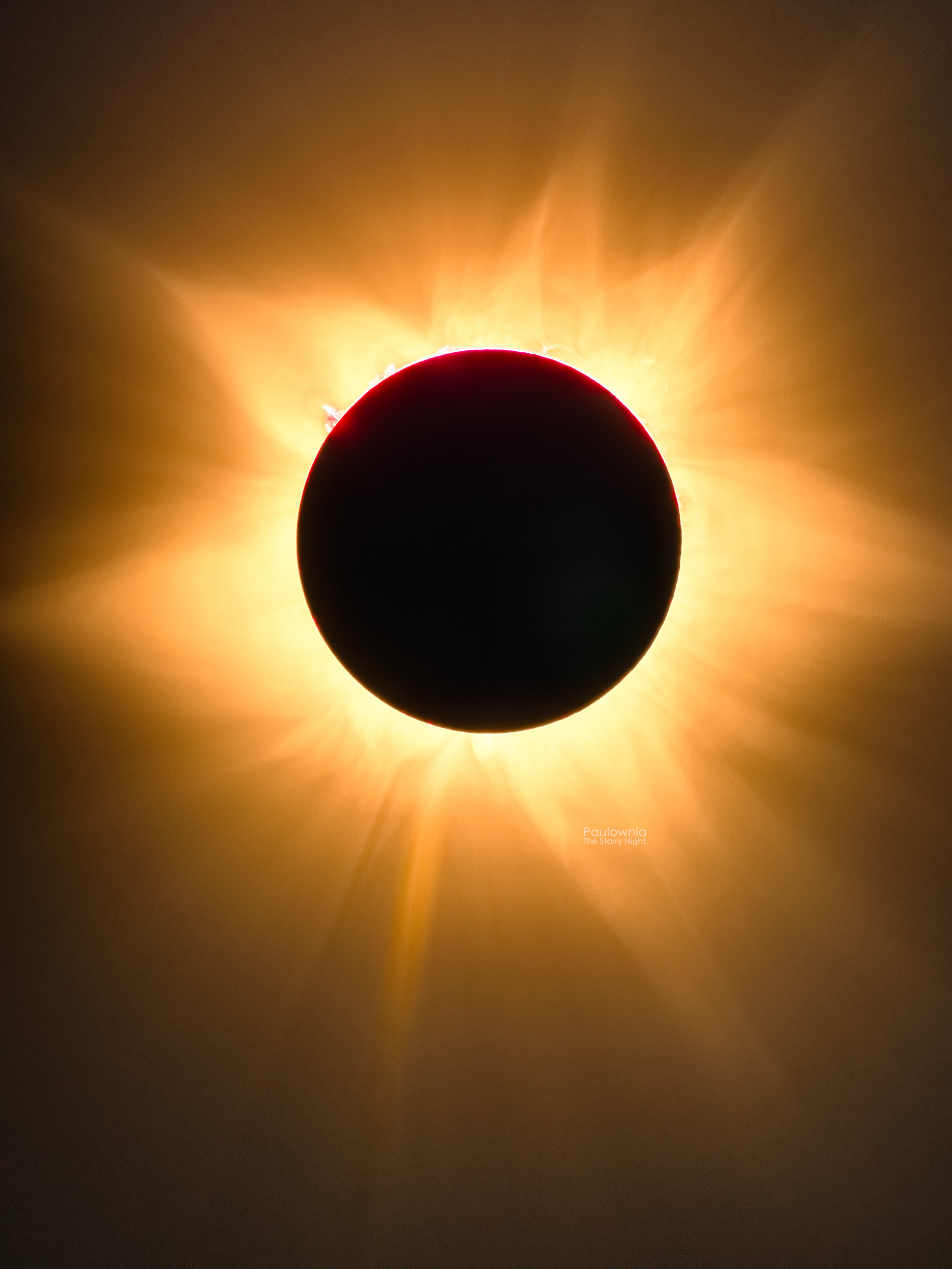 1682408750092031738.jpg 董书畅-天空中的太阳花(长边2500像素).jpg