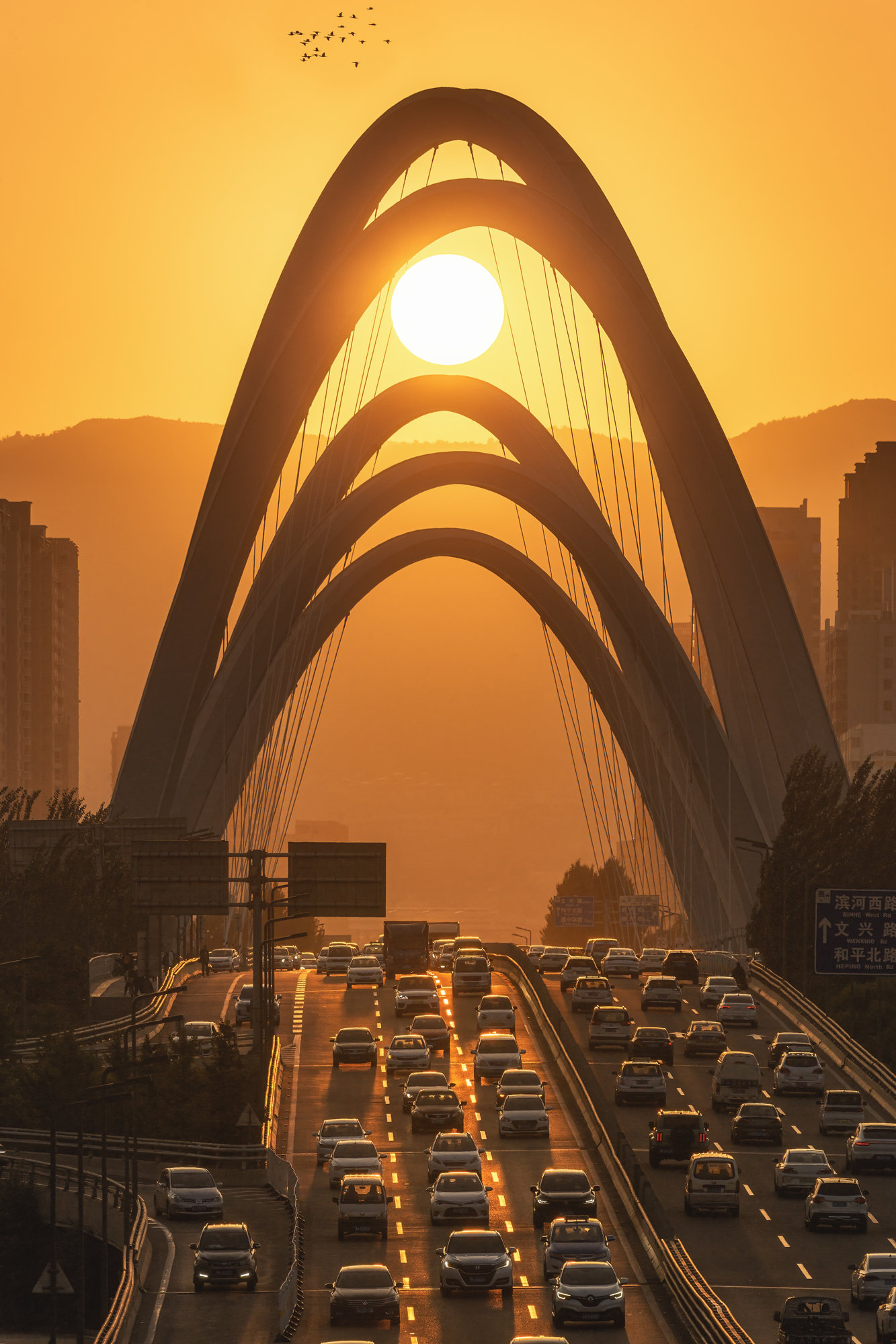 孙晨豪-日耀龙城（长边2000像素）.jpg